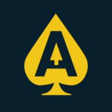 Ace High Sports company logo.